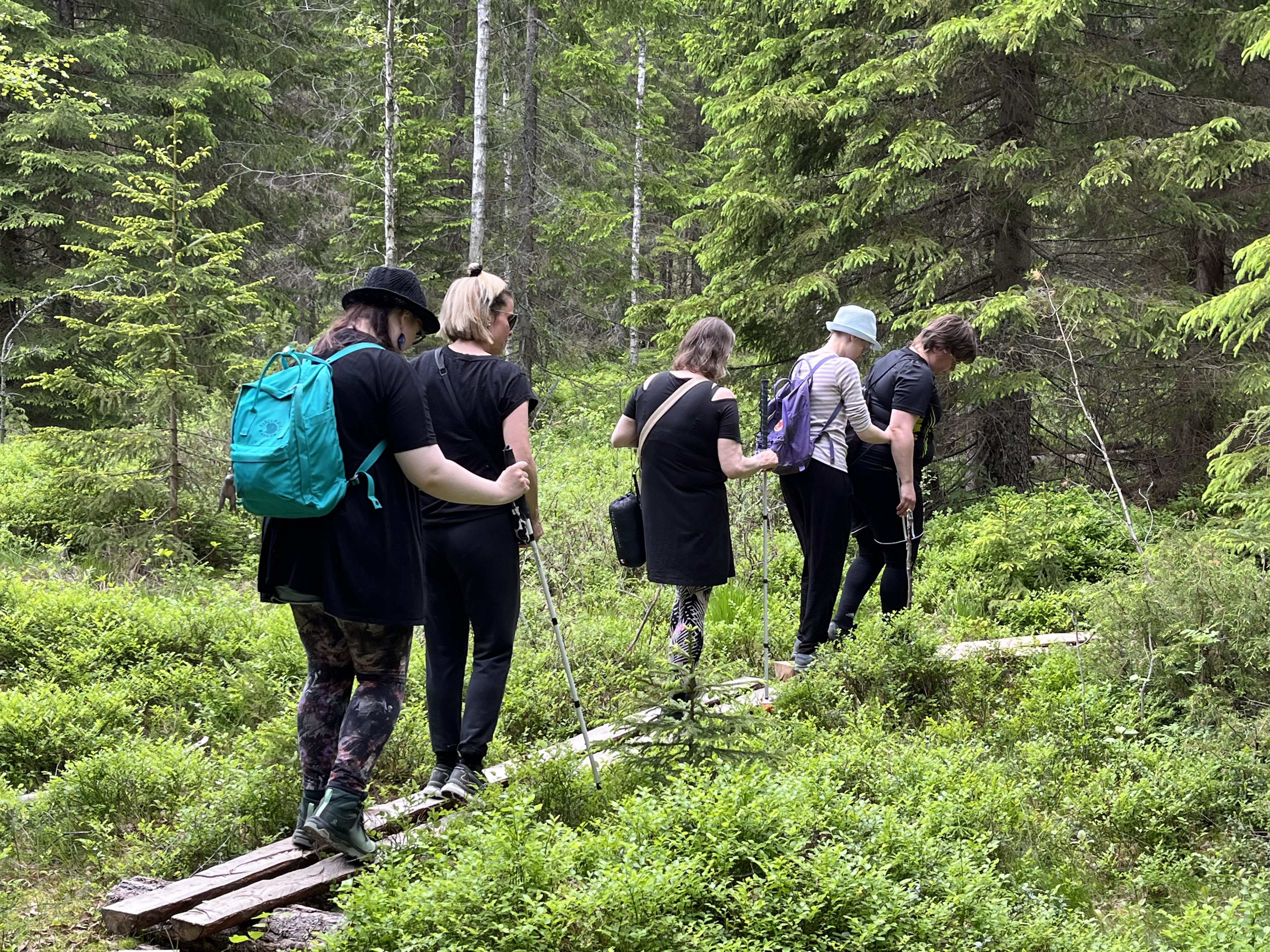 Nuoria metsässä lankkupolulla kävelemässä oppaiden kanssa.