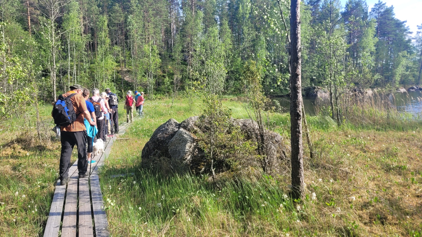 Pitkoispuita Ritajärvellä
